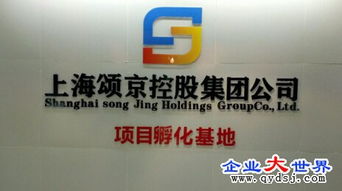 頌京控股集團旗下網絡科技公司 立足上海，引領數(shù)字化服務新浪潮